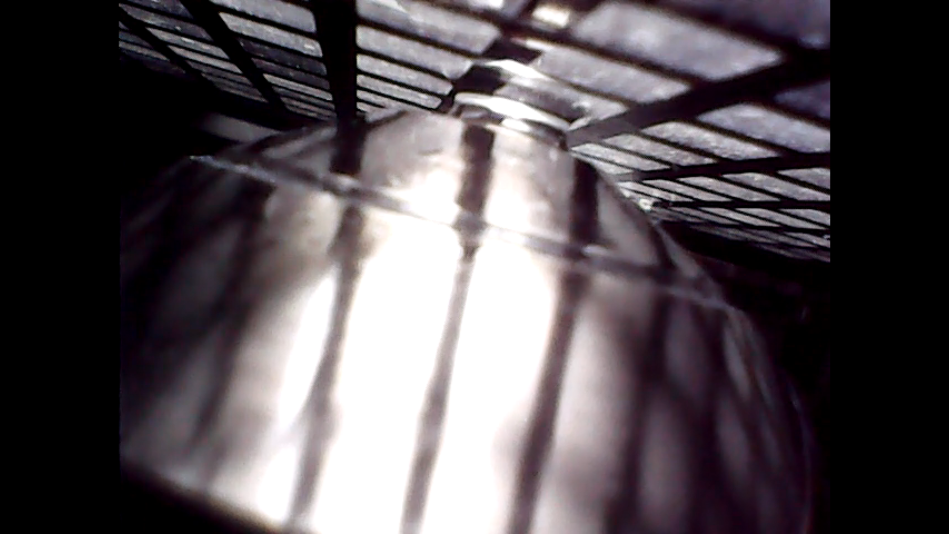 How oil immersion objectives can improve your microscopy?